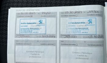 Peugeot 3008 1.5 BlueHDi Active Pack S&S full