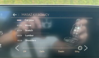 Peugeot 3008 PureTech 180 Stop & Start GPF EAT8 GT Pack full