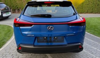 Lexus UX 250h Business Edition full