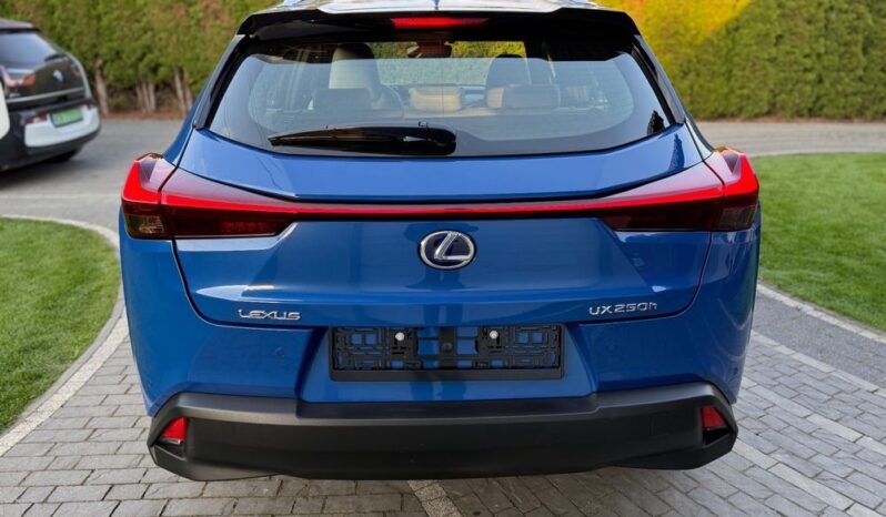 Lexus UX 250h Business Edition full
